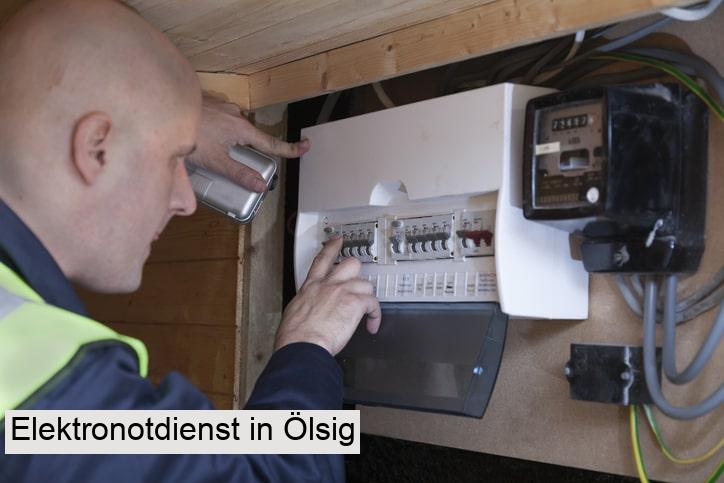 Elektronotdienst in Ölsig